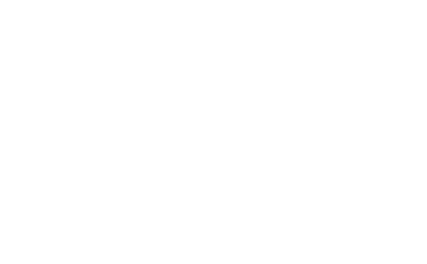 IBM logo